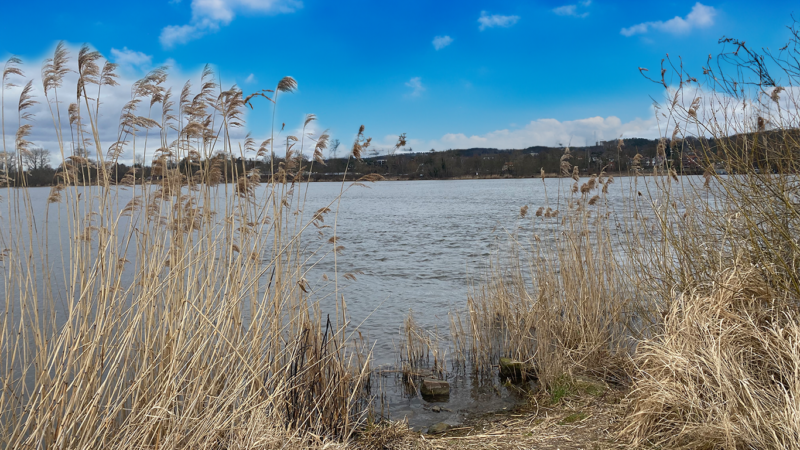 Das Ufer in der Elbmarsch