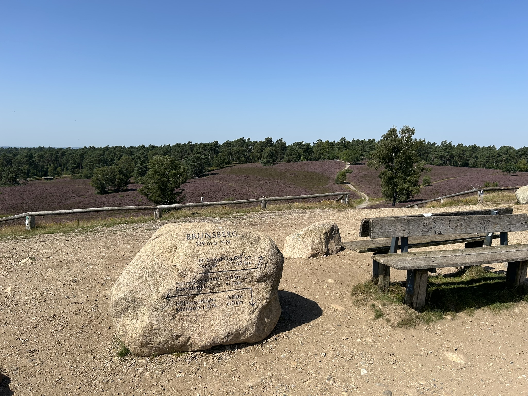 Auf dem Brunsberg. Im Hintergrund ist die blühende Heide zu sehen und im Vordergrund eine Bank sowie ein Stein auf dem Brunsberg eingraviert ist.