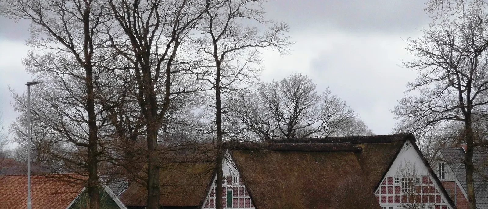 Blick über die Schulstraße auf ein Gehöft am Forth in Himmelpforten im Landkreis Stade