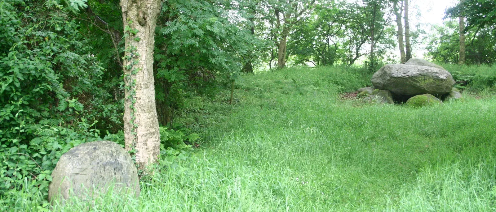 Großsteingrab bei Hammah im Landkreis Stade