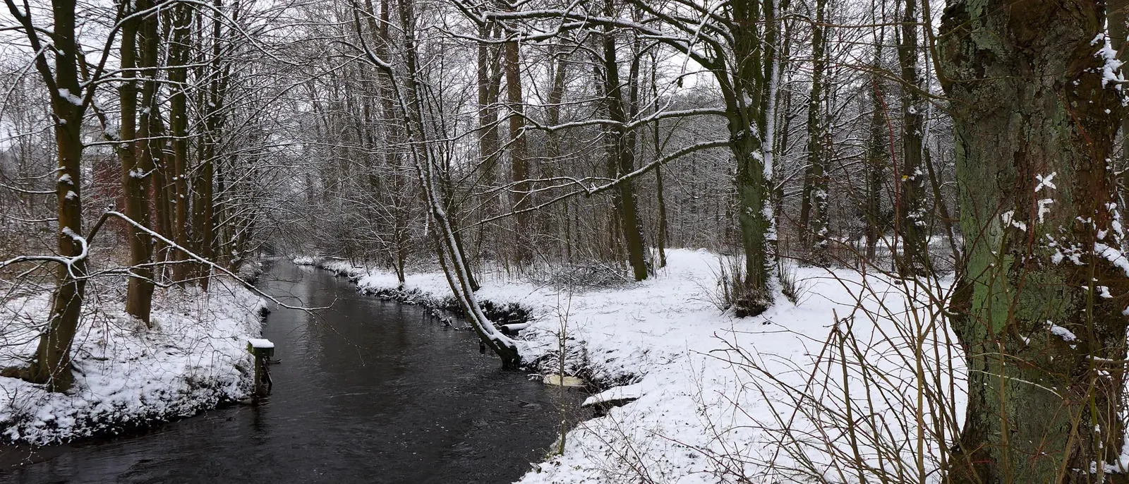 Die Böhme in Soltau, gesäumt von Bäumen