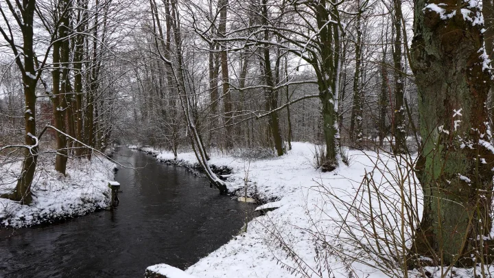 Die Böhme in Soltau, gesäumt von Bäumen