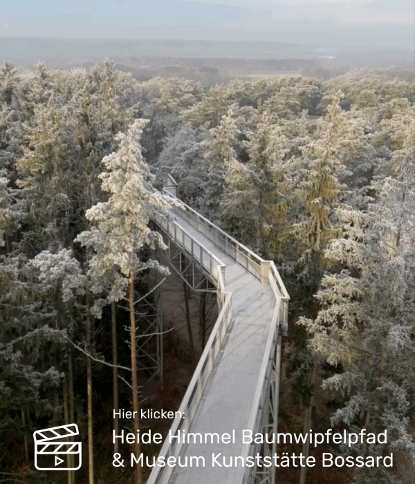 Heide Himmel Baumwipfelpfad