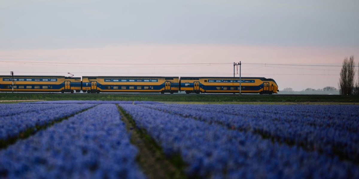 © Frank van Hulst, Unsplash